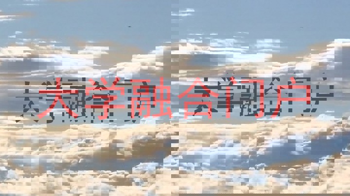 大学融合门户