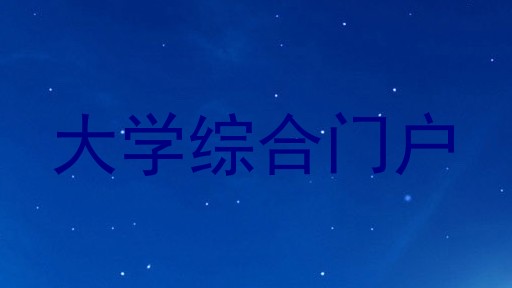 大学综合门户