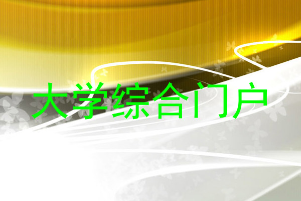 大学综合门户