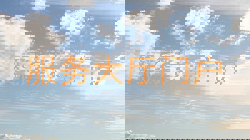 服务大厅门户