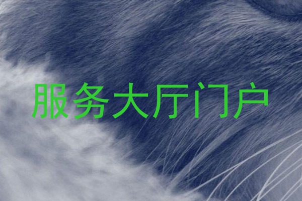 服务大厅门户