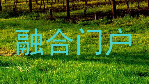 融合门户