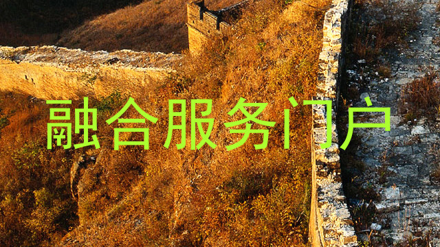 融合服务门户