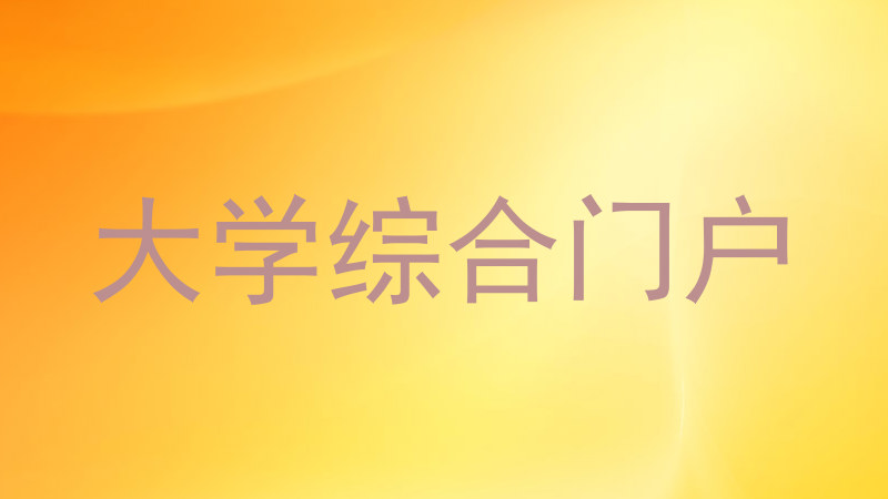 大学综合门户