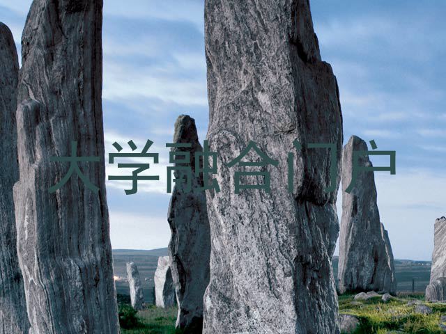 大学融合门户