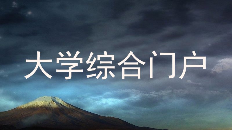 大学综合门户