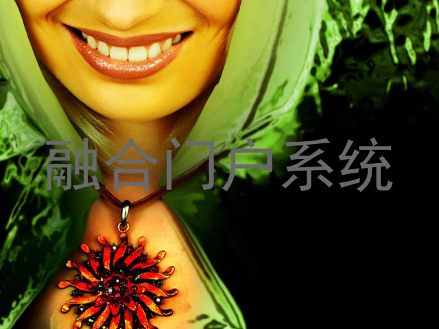 融合门户系统