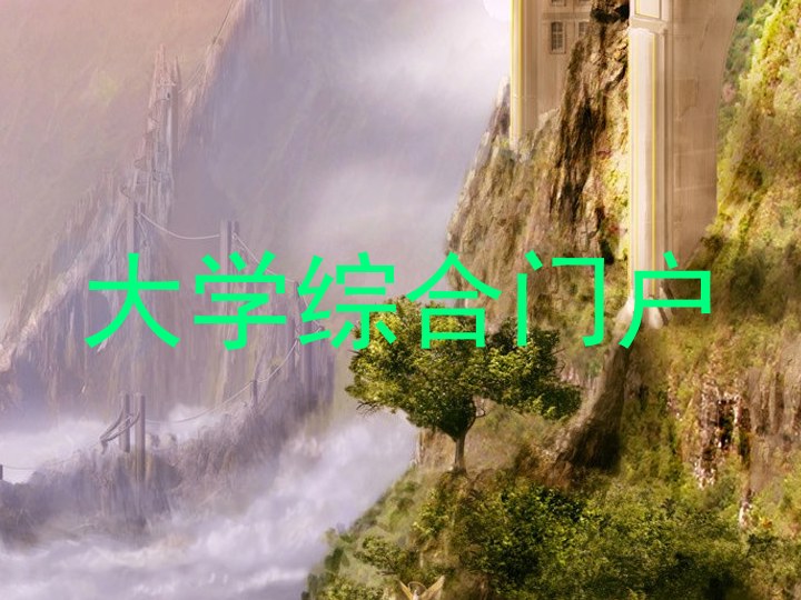 大学综合门户
