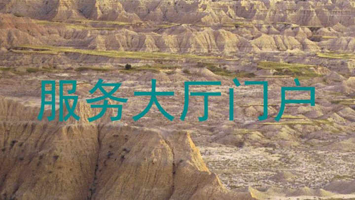服务大厅门户
