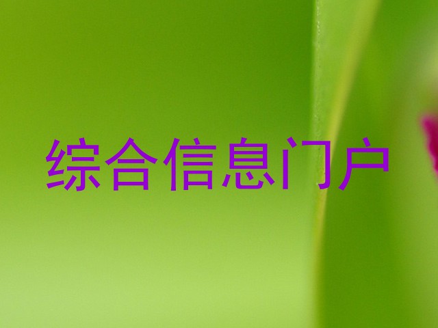 综合信息门户
