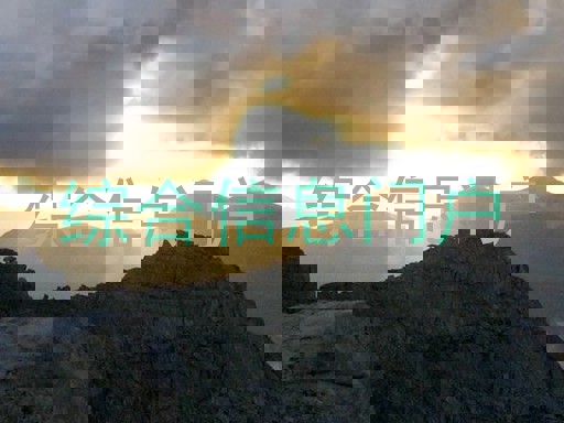 综合信息门户