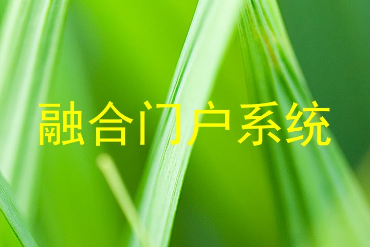 融合门户系统