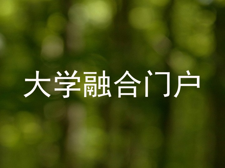 大学融合门户