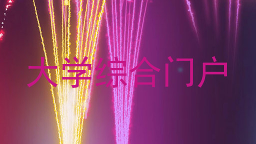 大学综合门户