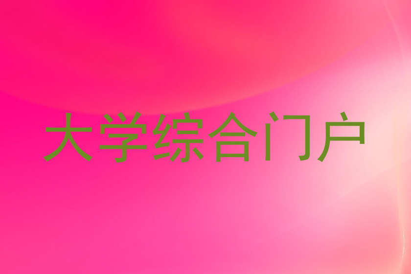 大学综合门户