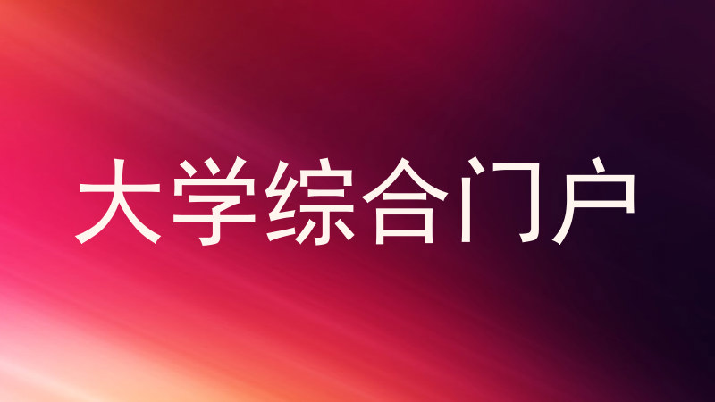 大学综合门户