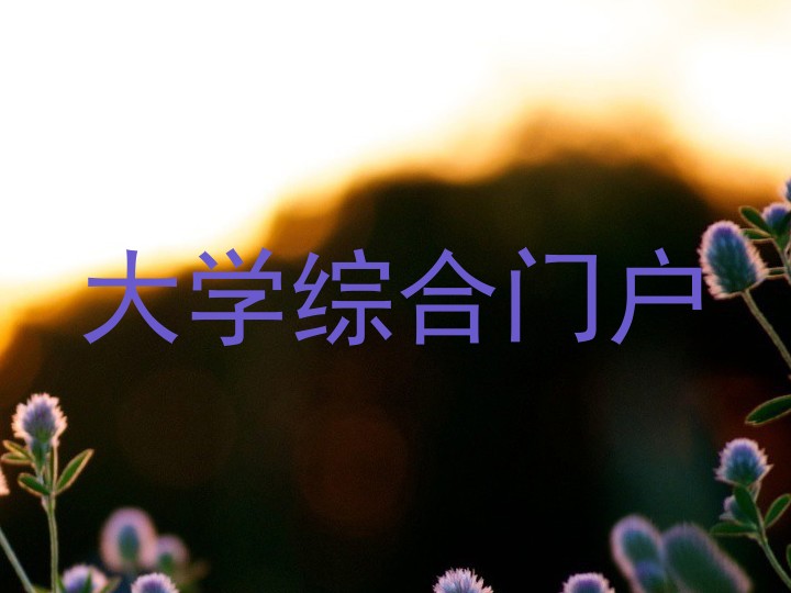 大学综合门户