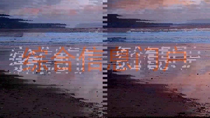 综合信息门户