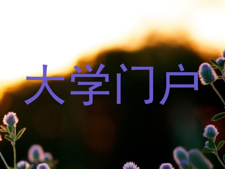 大学门户