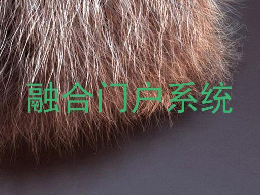 融合门户系统