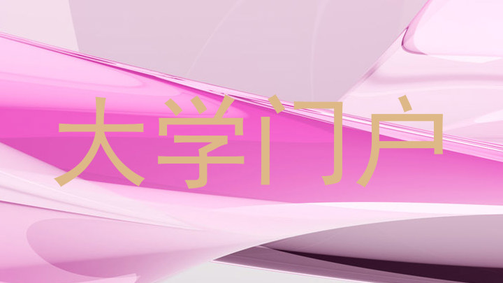 大学门户