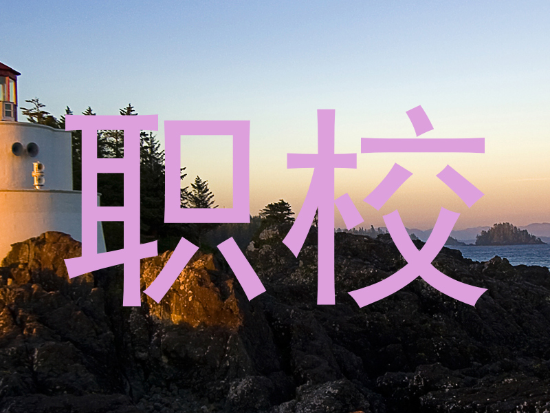职校