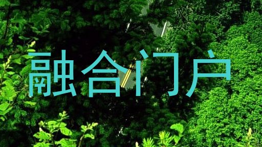 融合门户