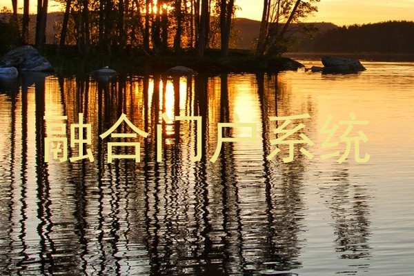 融合门户系统