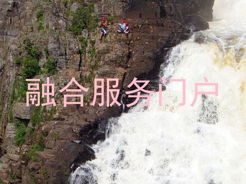融合服务门户