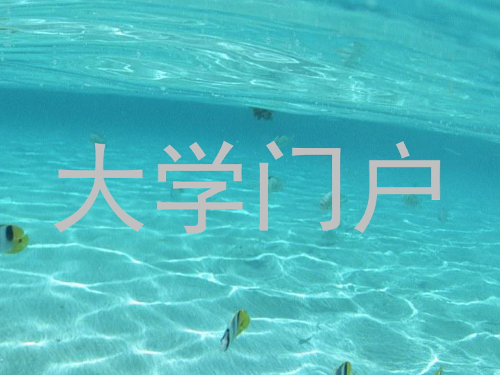 大学门户
