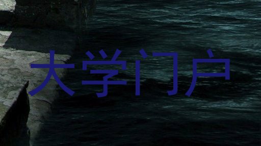 大学门户