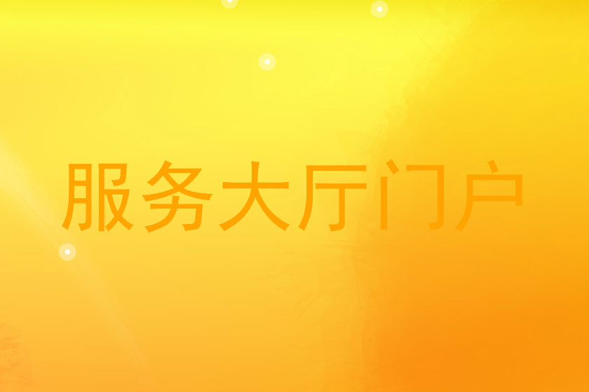 服务大厅门户