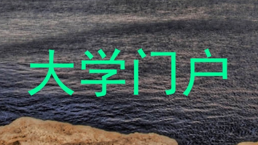 大学门户