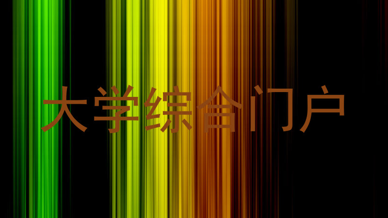 大学综合门户