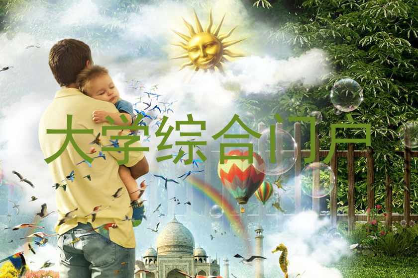 大学综合门户