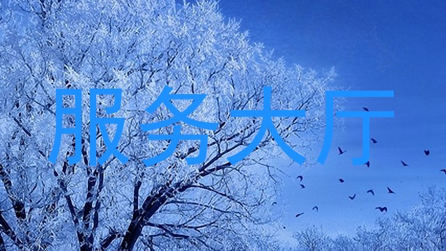 服务大厅