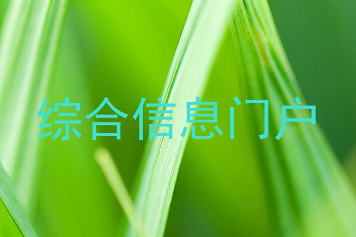 综合信息门户