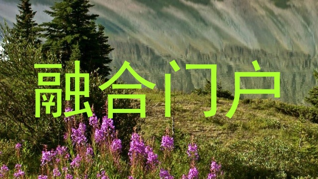 融合门户