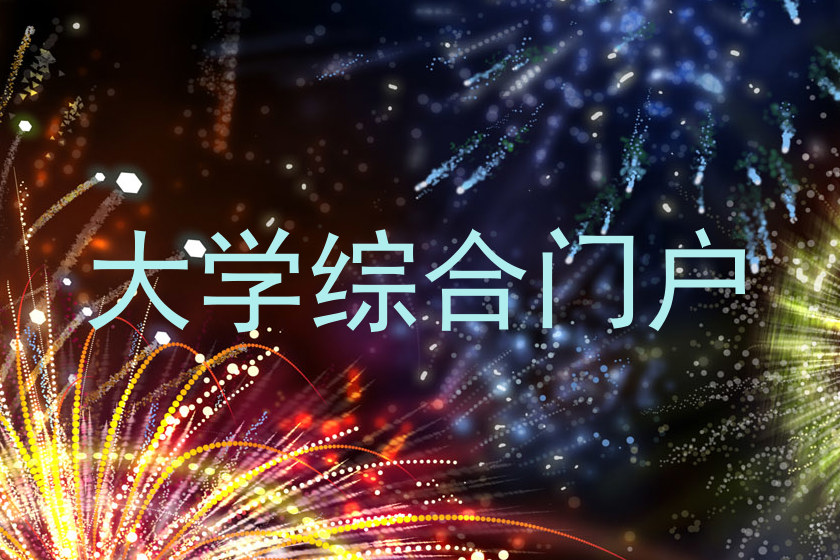 大学综合门户