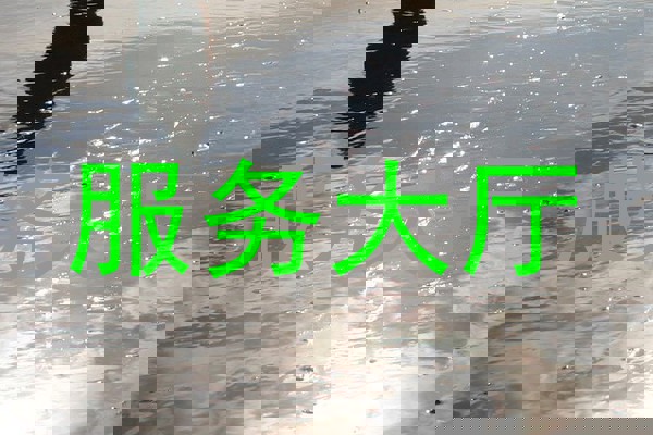 服务大厅