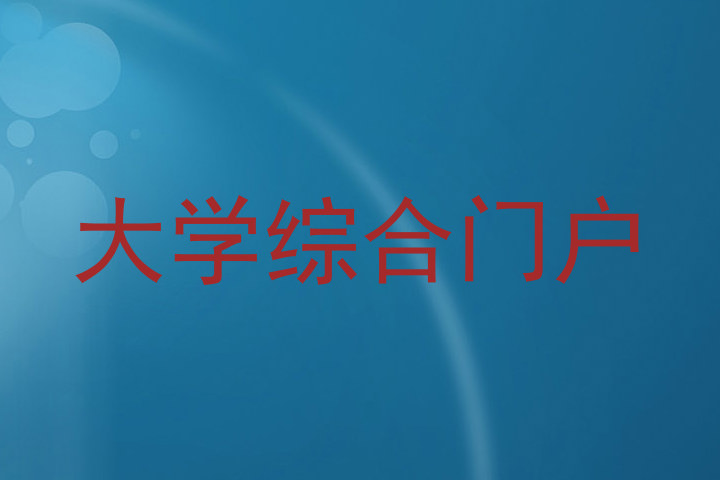 大学综合门户