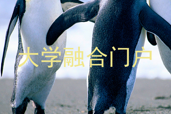 大学融合门户