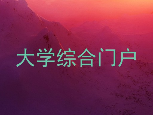 大学综合门户