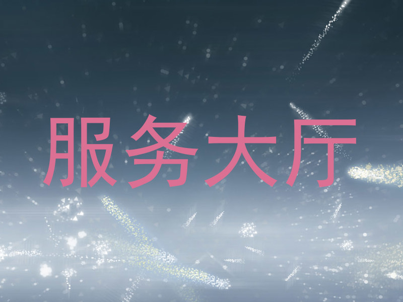 服务大厅