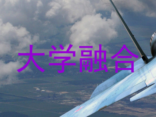 大学融合