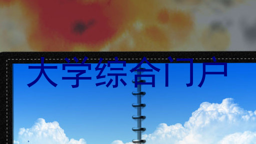 大学综合门户