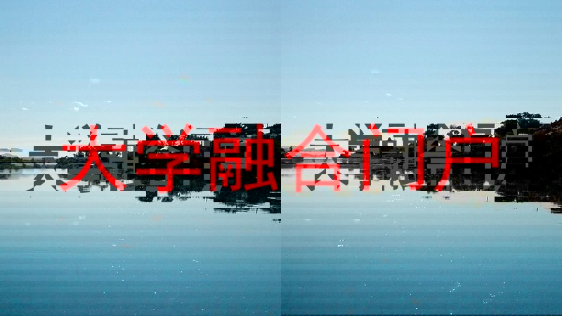 大学融合门户