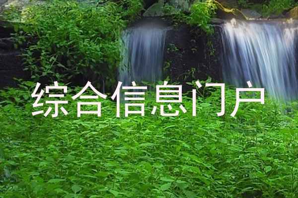 综合信息门户