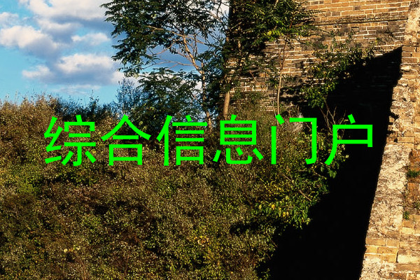 综合信息门户