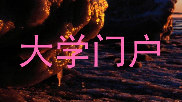 大学门户